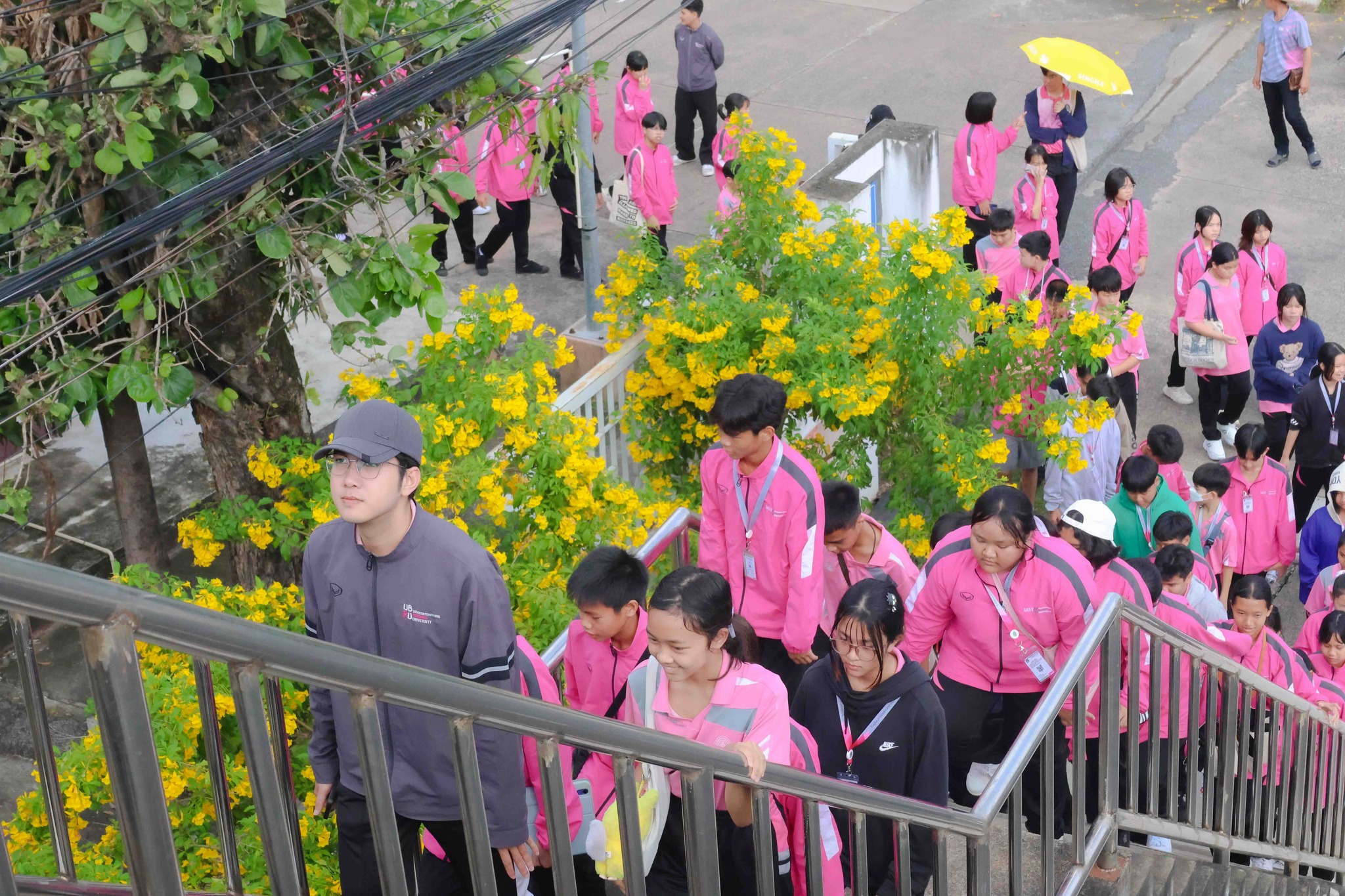 image3